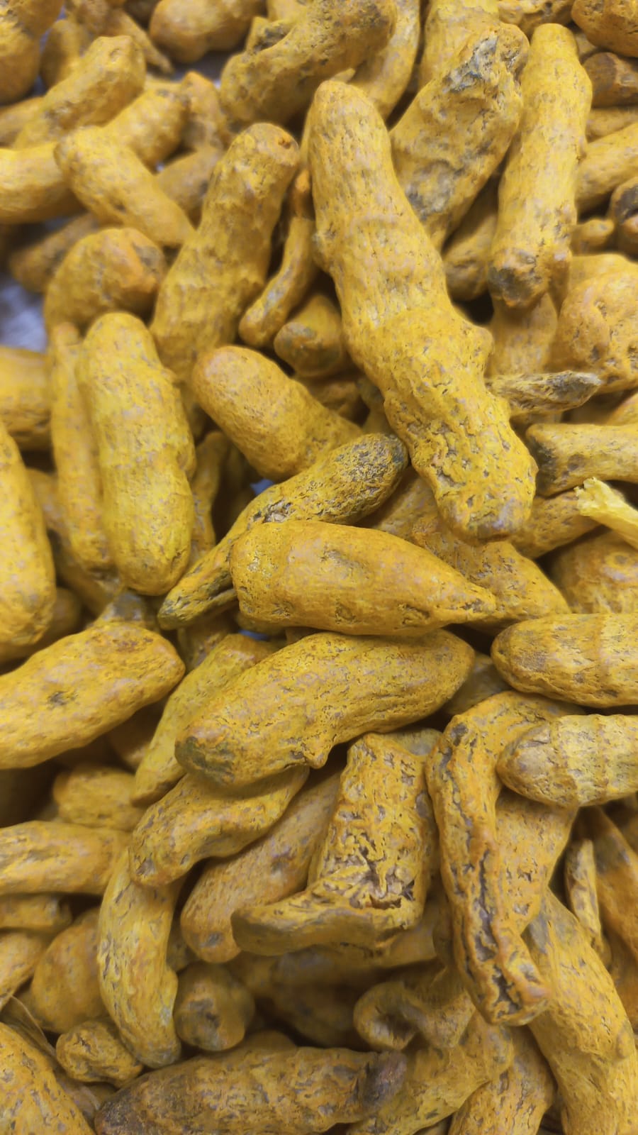 turmeric  Whole